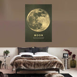 Tableau Lune Vintage - 51 X 36 cm - 1704